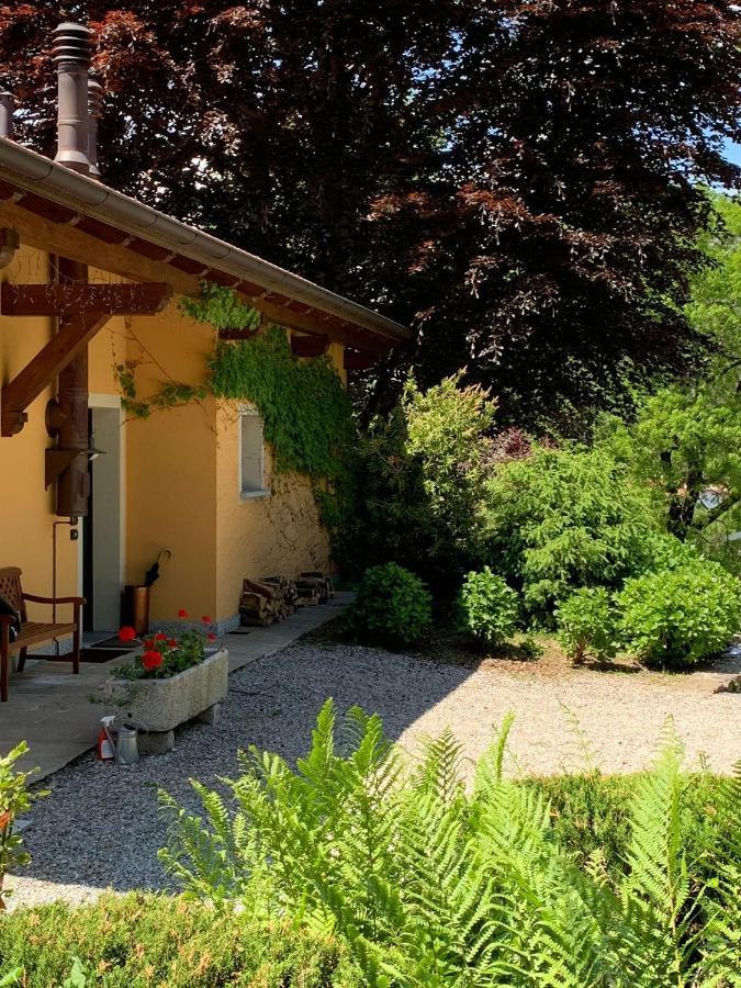 The Comfortable House With Big Pool In The Center Of Mergozzo Exterior photo